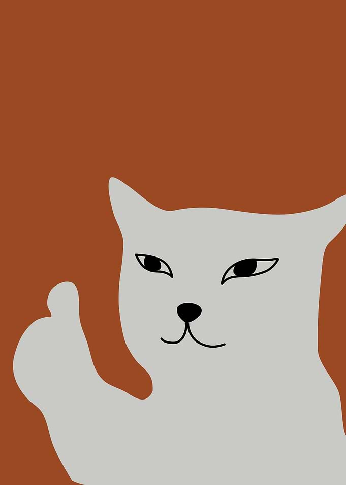 cat approved