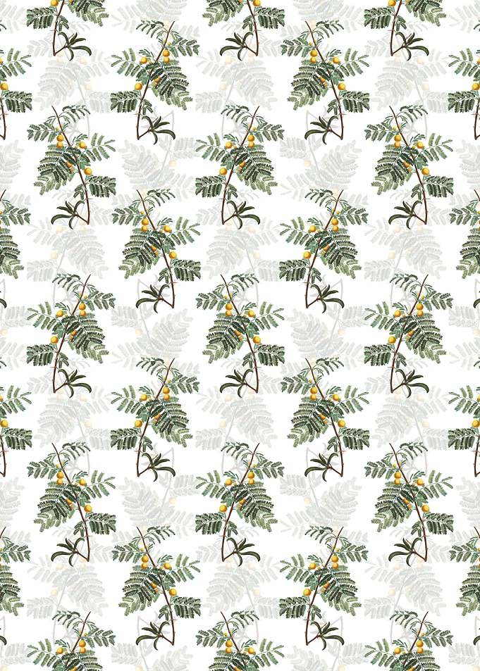 White Sweet Acacia Pattern