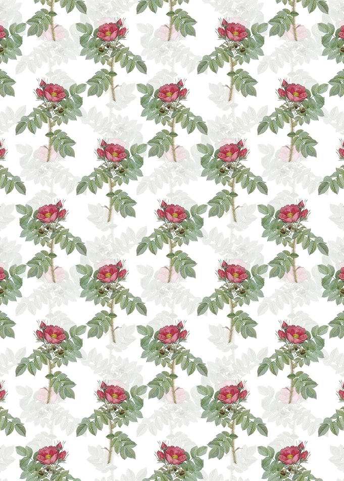 Kamtschatka Rose Pattern