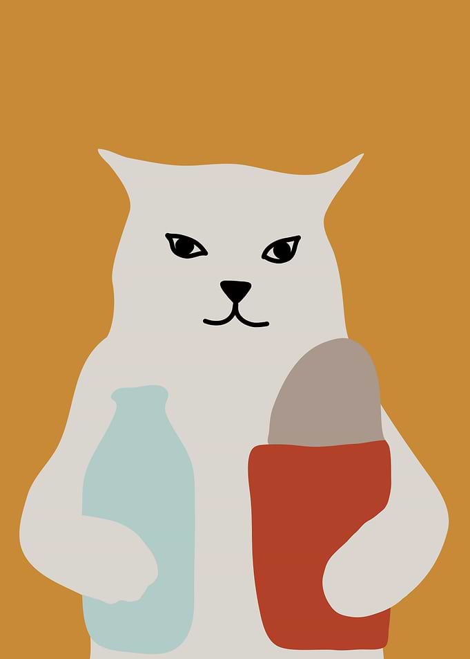 cat meme