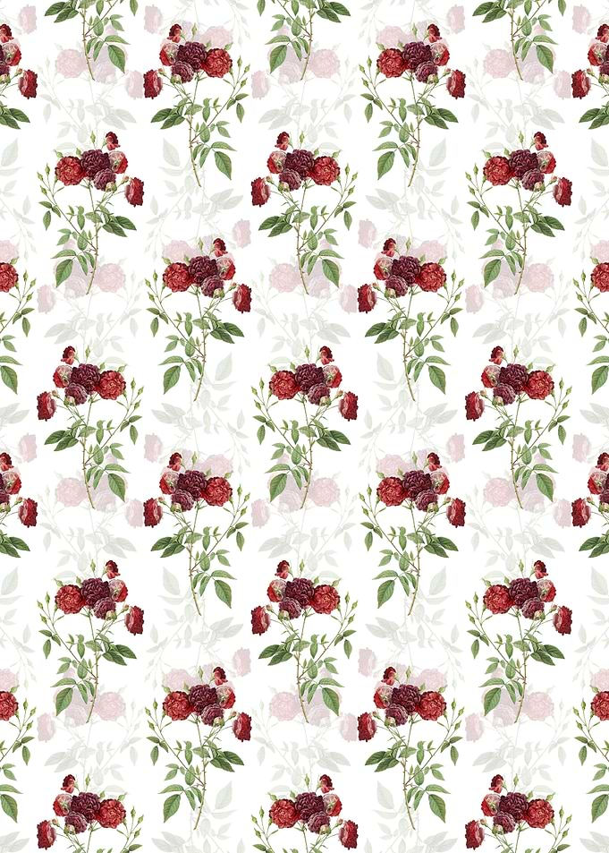 Ternaux Rose Bloom Pattern
