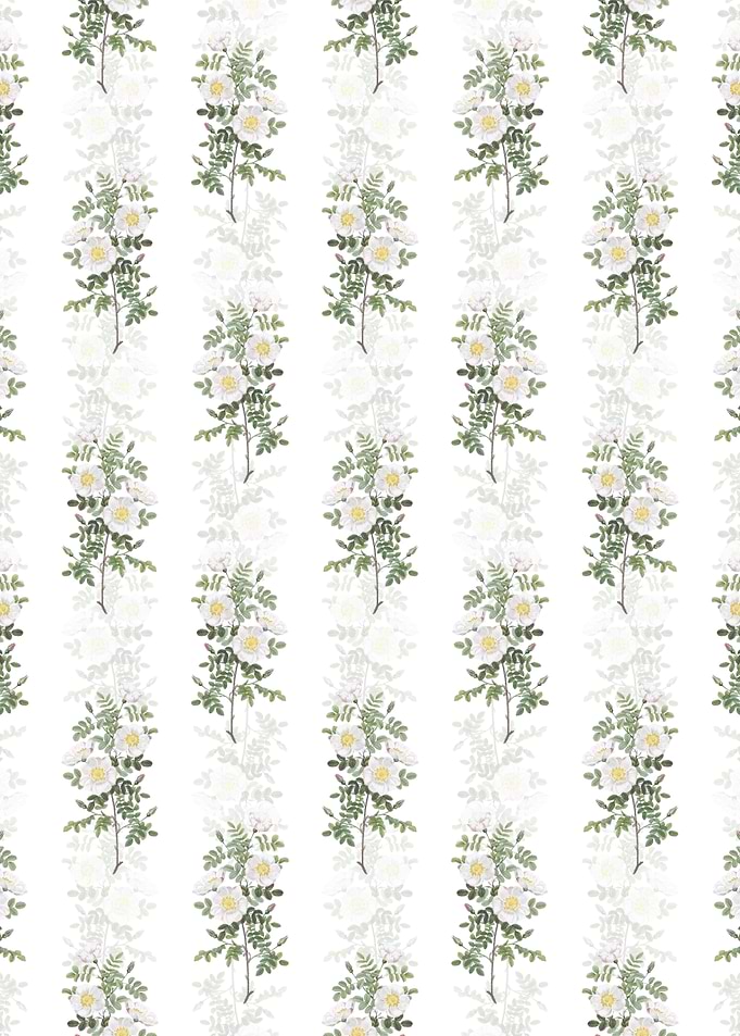 White Burnet Roses Pattern