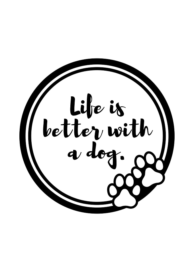 Life Is Better With A Dog
