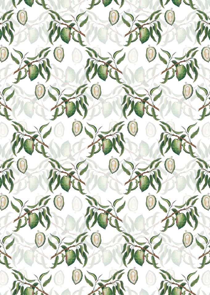 Floral Almond Pattern