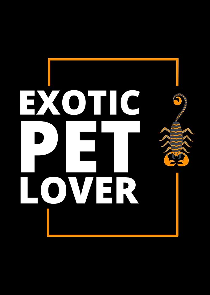 Exotic Pet Lover