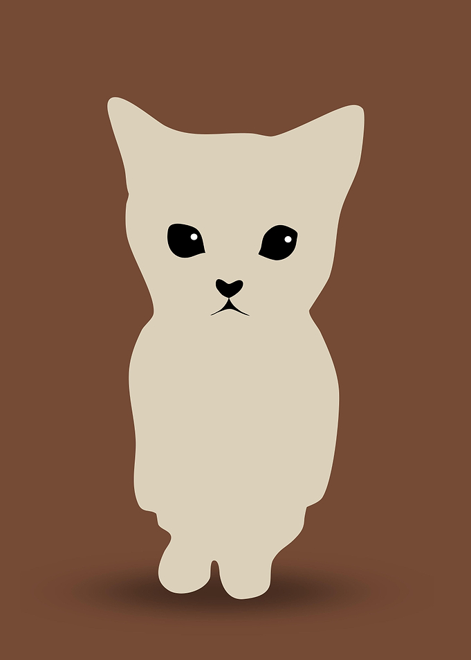 cute cat meme