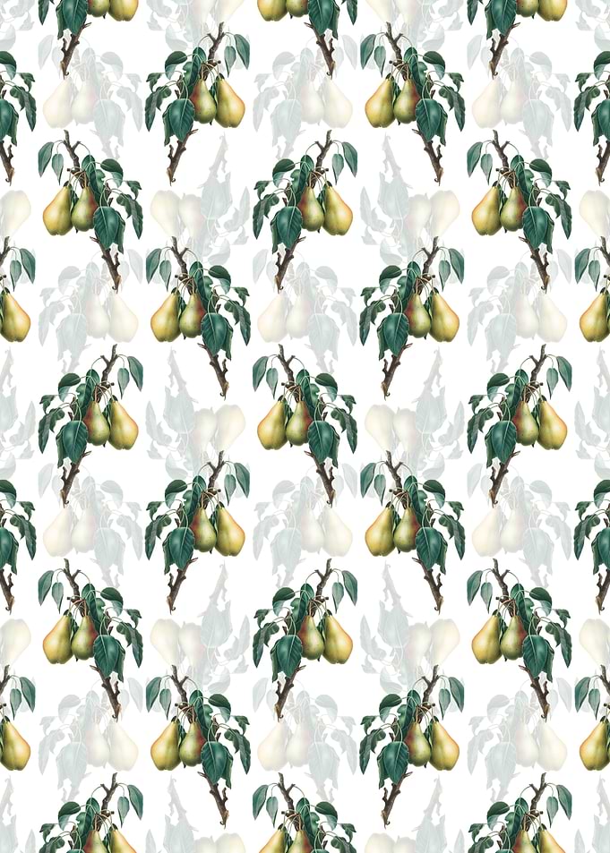 Floral Lemon Pear Pattern