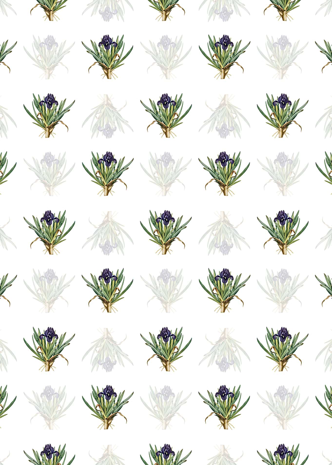 Floral Pygmy Iris Pattern