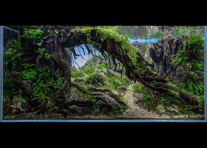 Diorama Aquarium