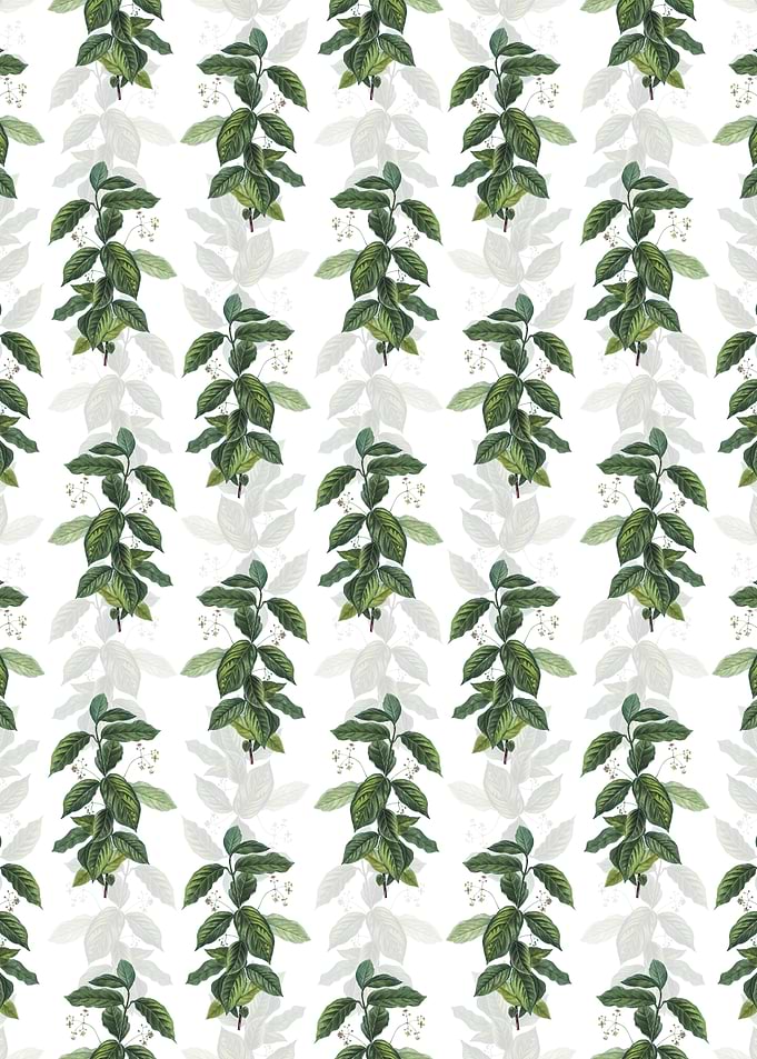 Broadleaf Spindle Pattern