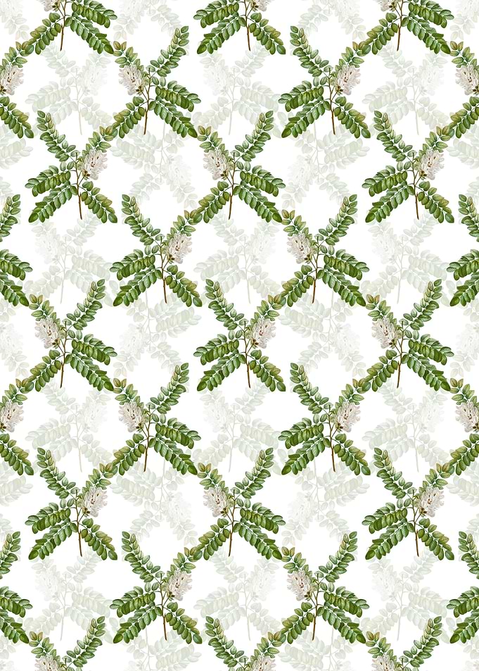 Clammy Locust Pattern
