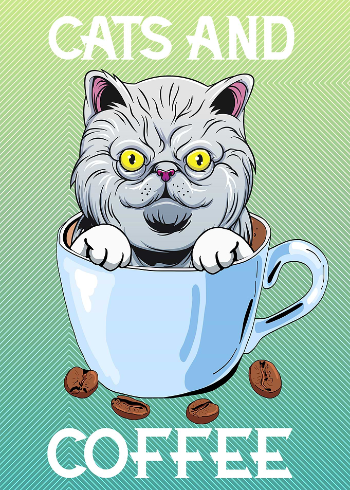 Exotic Shorthair Cat