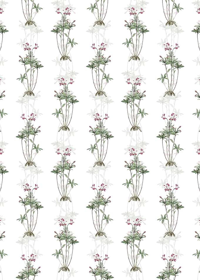 Lily of the Incas Pattern
