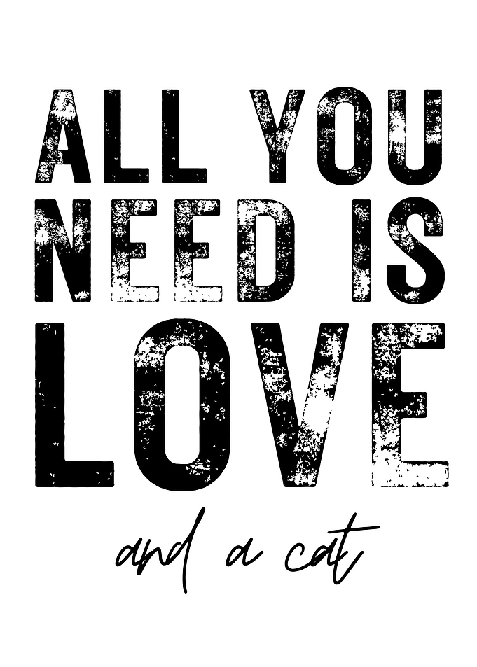 Love and Cat Quote