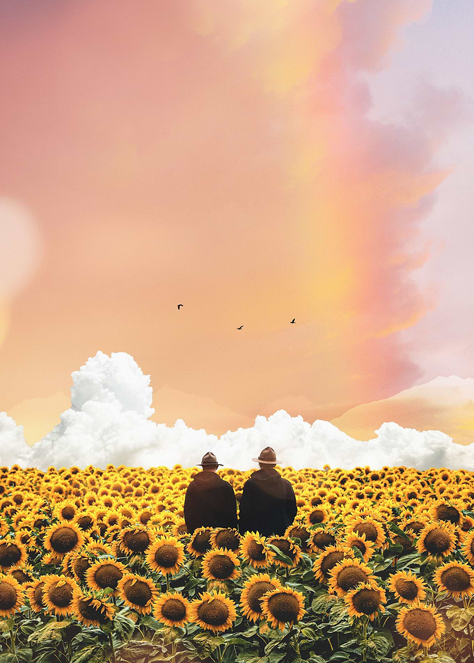 Helianthus Valley