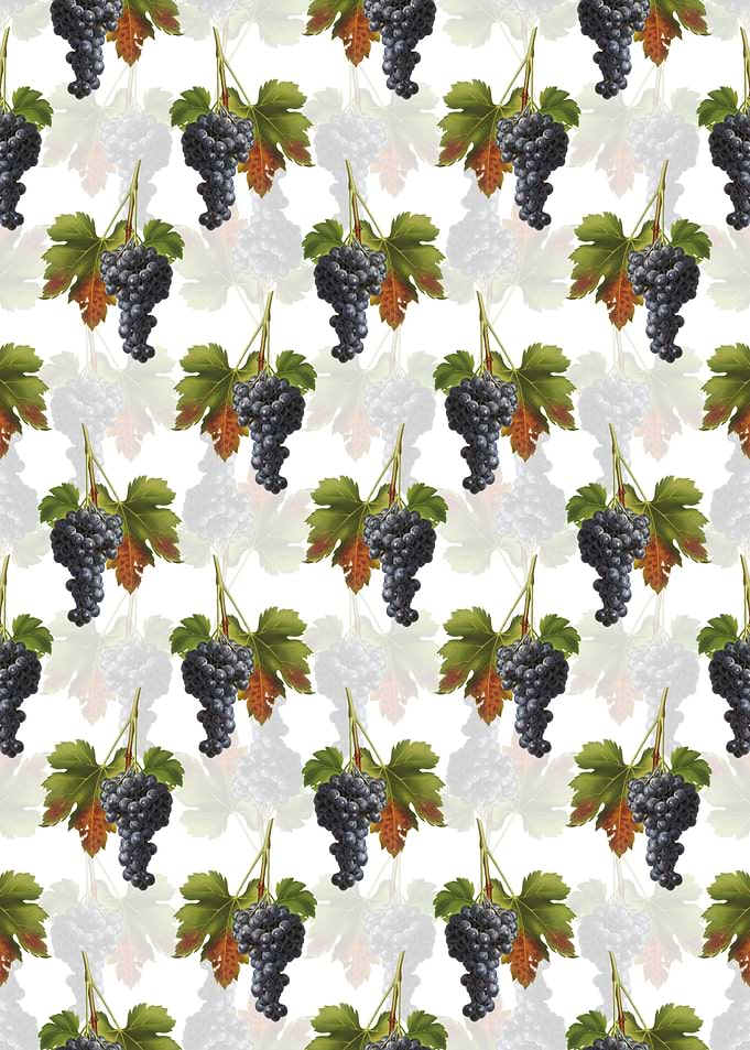 White Raisin Grape Pattern