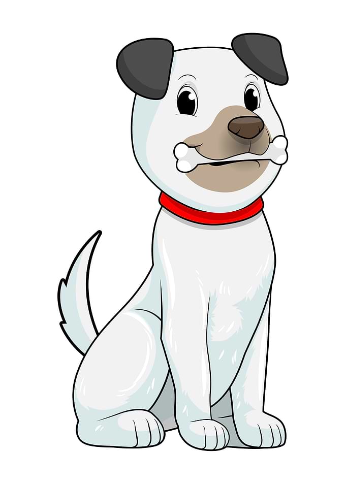 Dog Bone