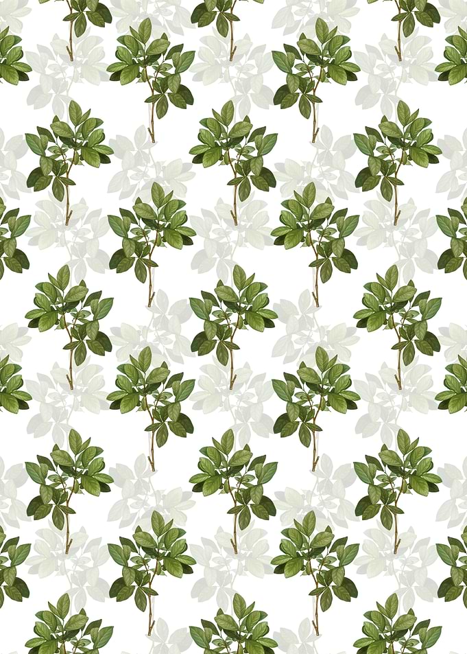 White Eastern Leatherwood