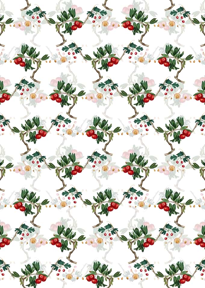 Red Thorn Apple Pattern