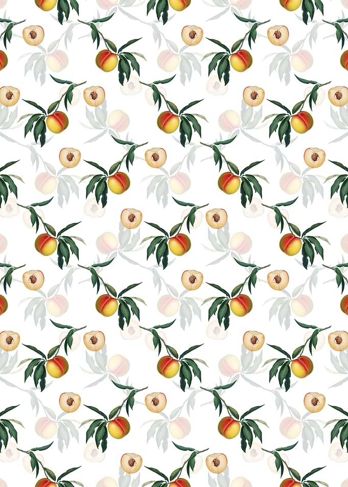 White Floral Peach Pattern