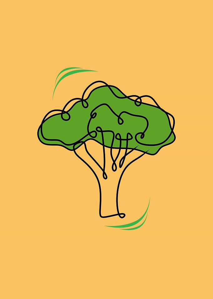 Vegetable