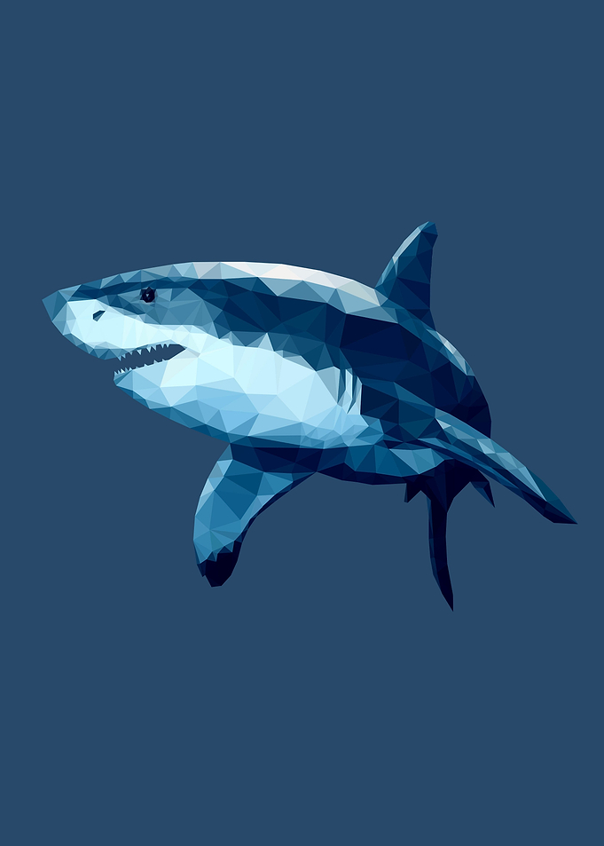 Shark