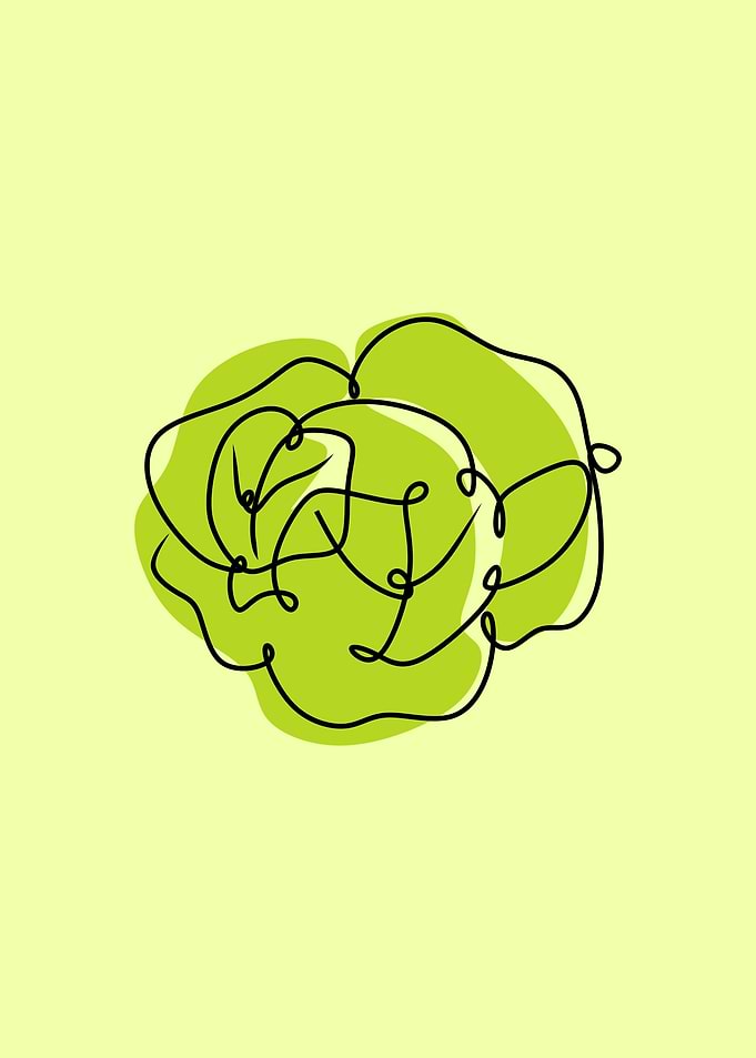 Vegetable