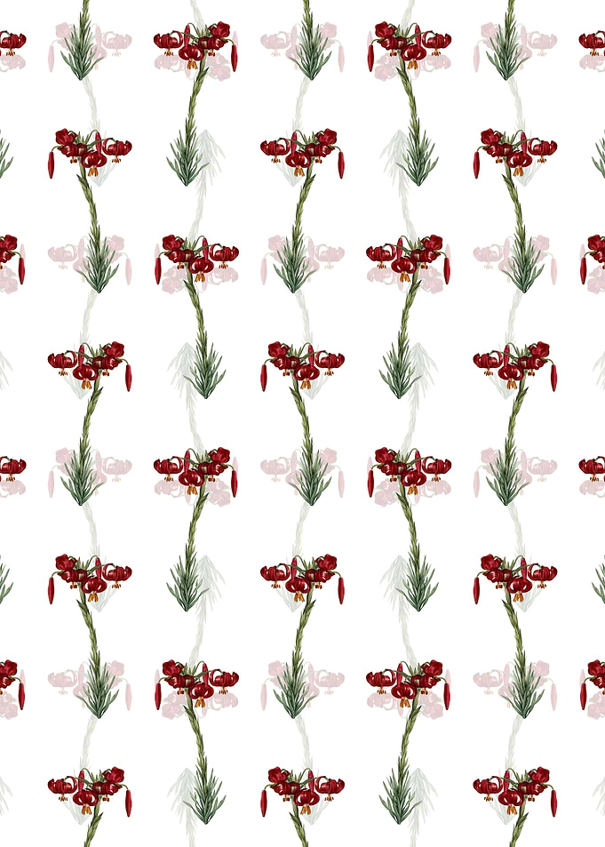 White Floral Lily Pattern