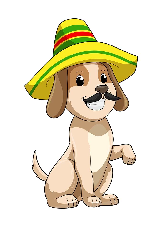 Dog Mexican Hat