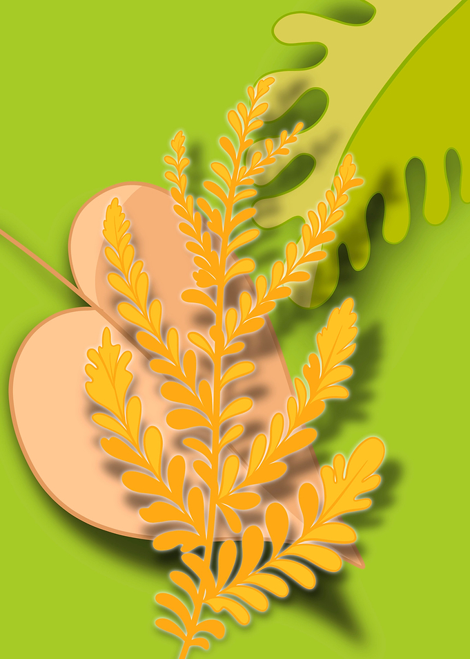 leaves in summer