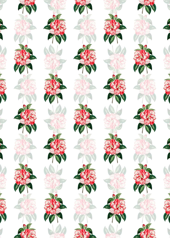 Japanese Camelia Pattern
