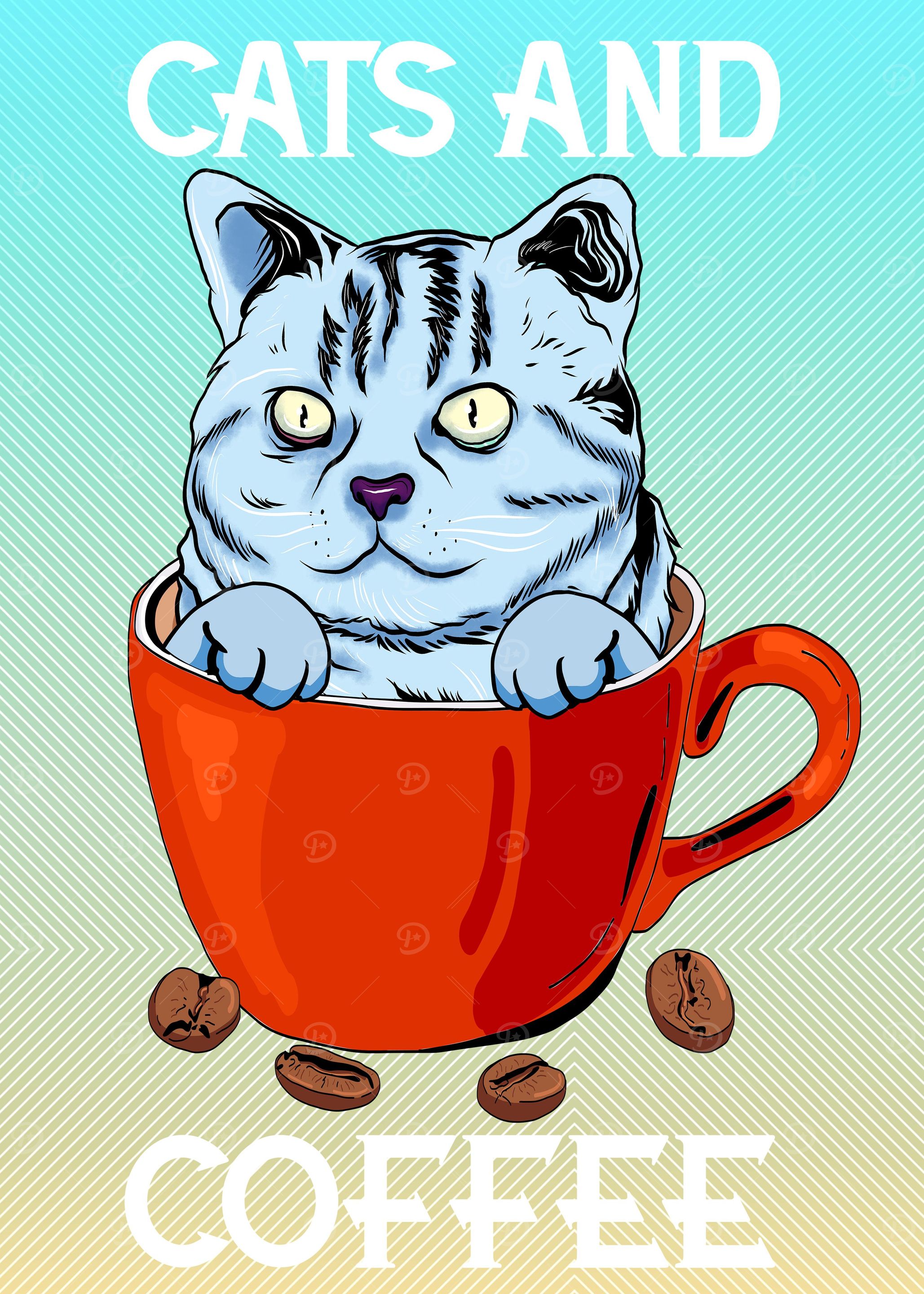 American Shorthair Cat