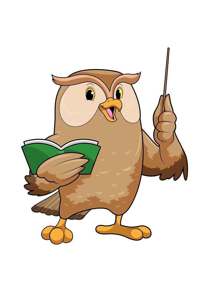 Owl Teacher Pointer