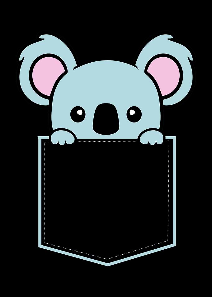Pocket Koala