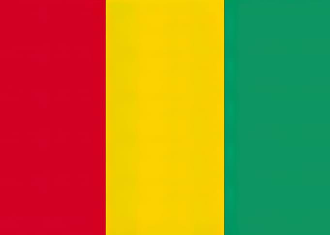 Guinea Flag
