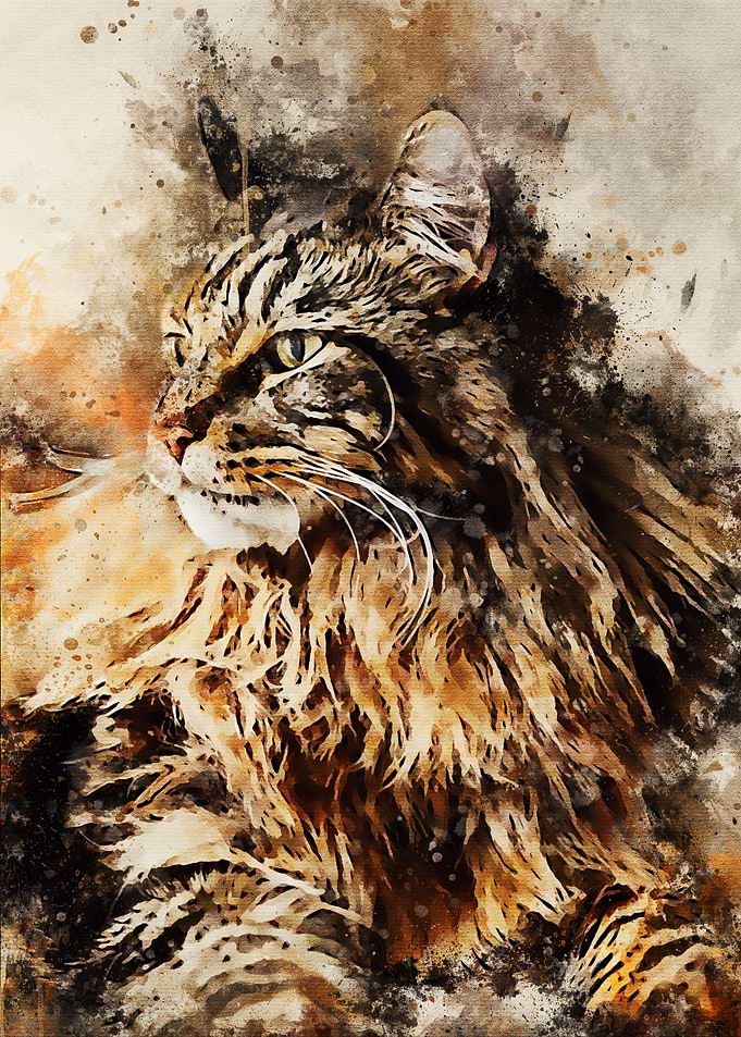 Cat watercolort art