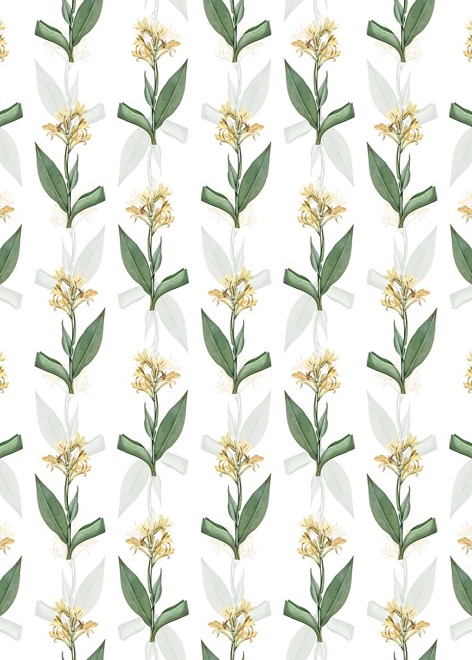 Floral Water Canna Pattern