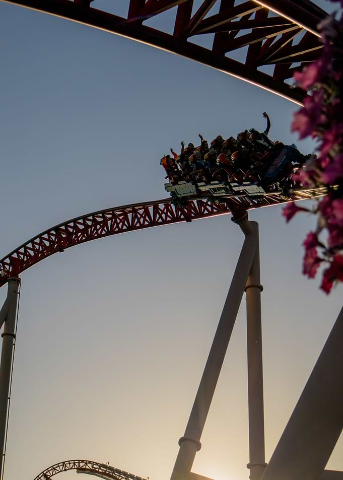 Maverick Dive