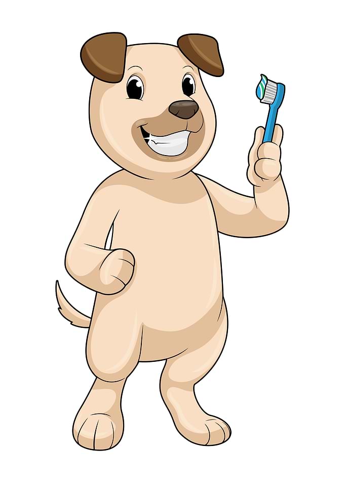 Dog Toothbrush