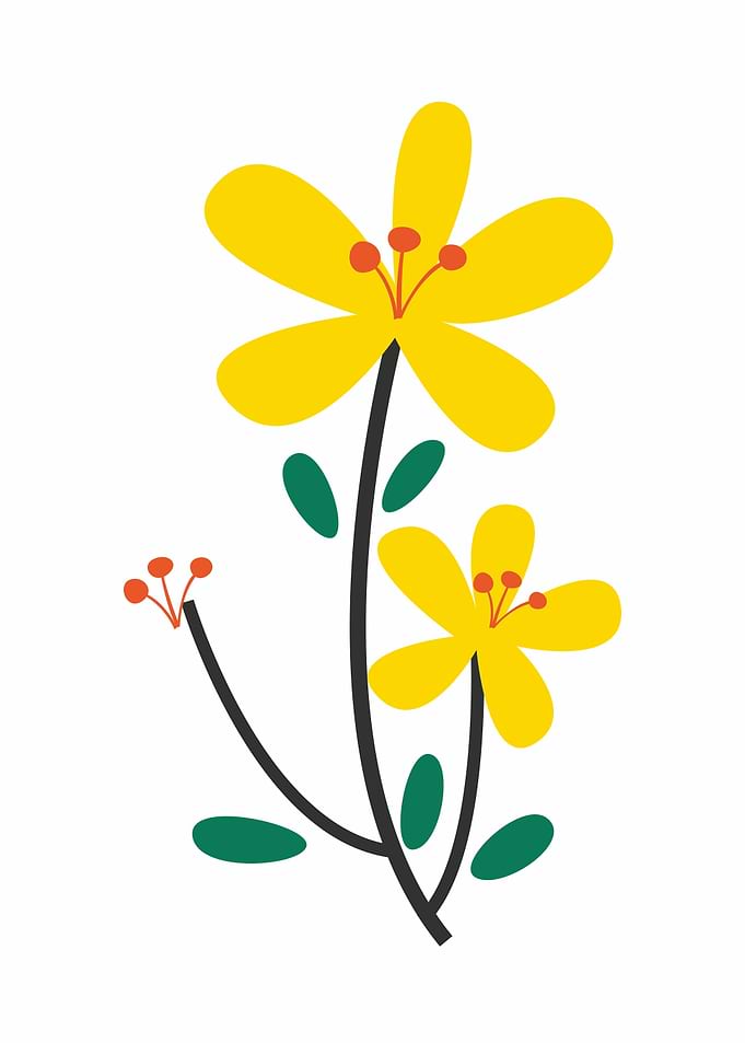 flower
