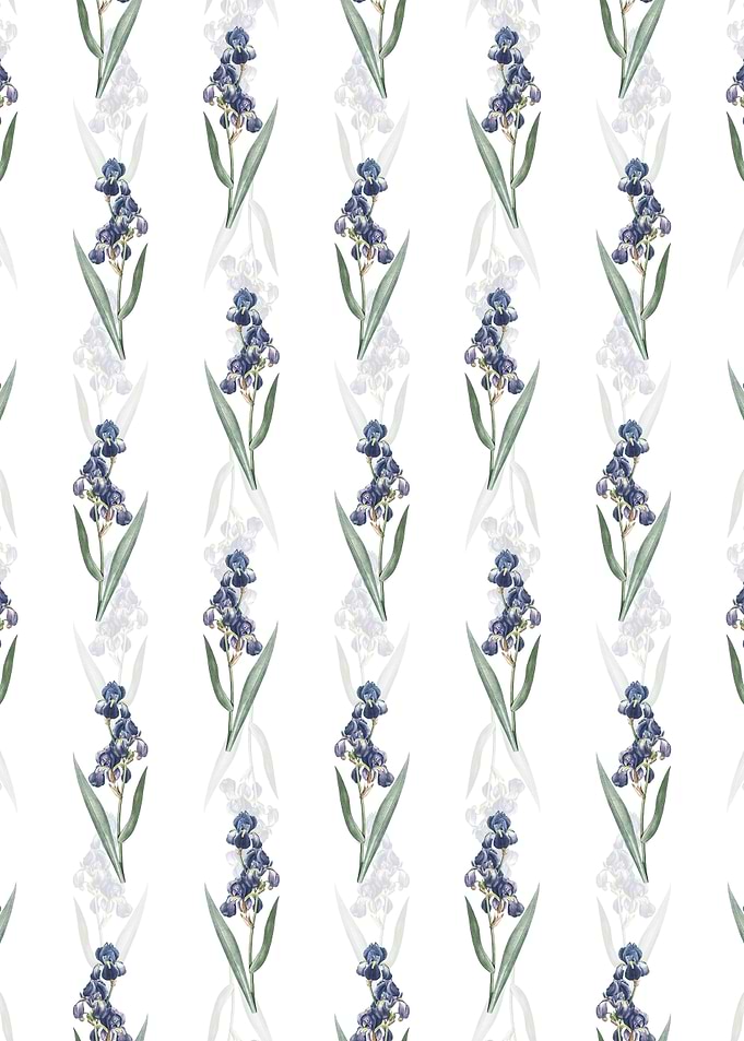 Dalmatian Iris Pattern