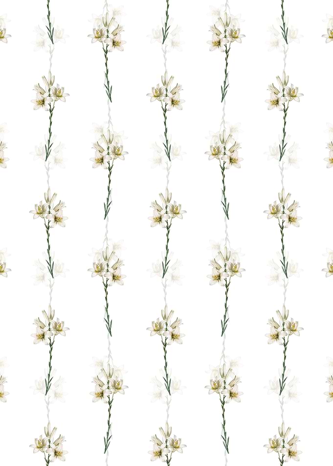 White Madonna Lily Pattern