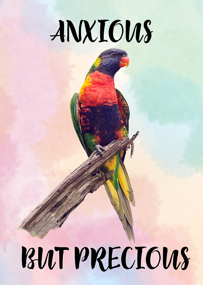 Rainbow Lorikeet