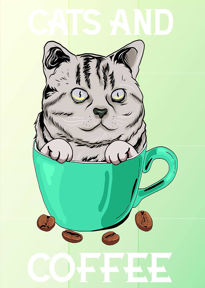 British Shorthair Cat