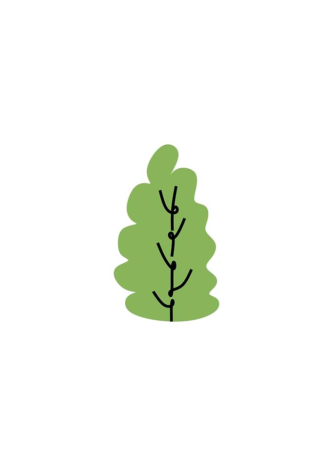 Vegetable