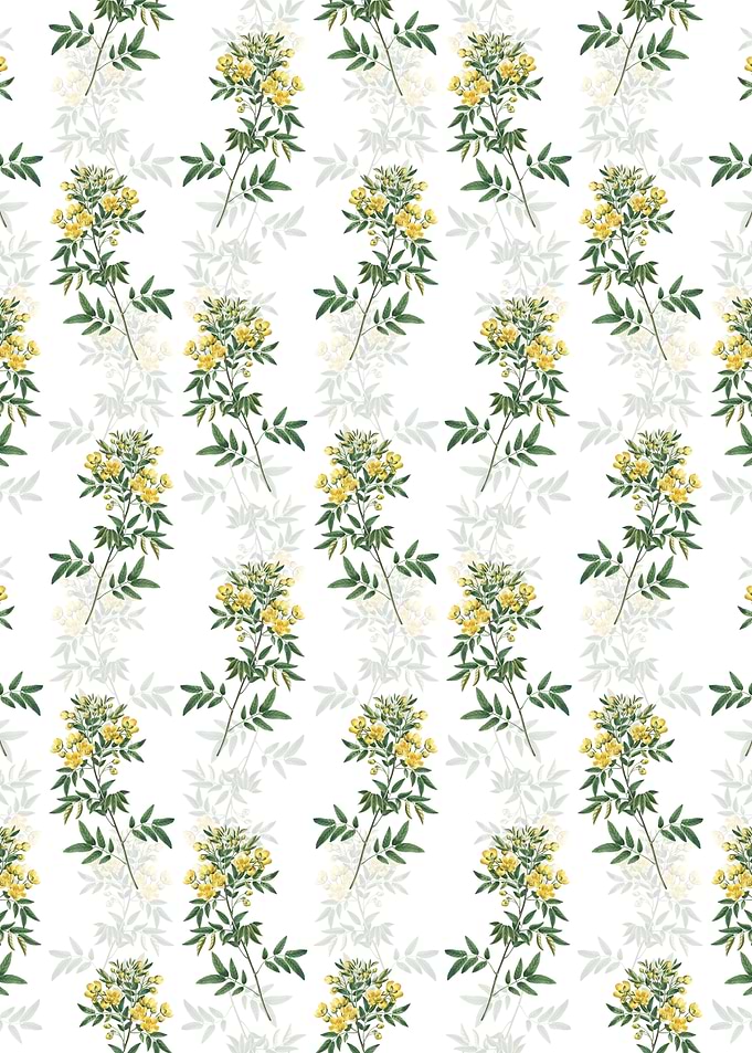 Argentine Senna Pattern