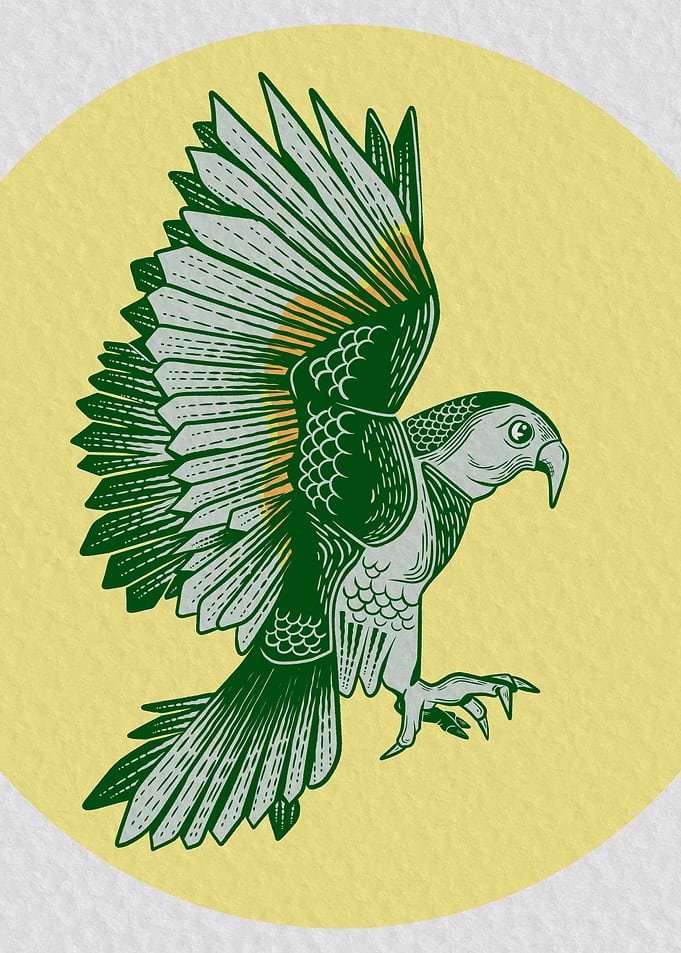 Kea NZ bird