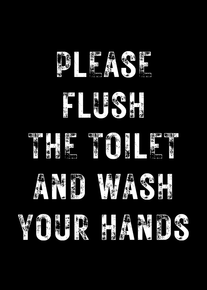 Flush The Toilet