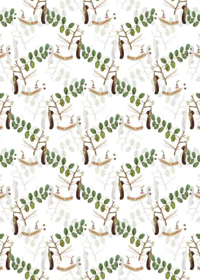 White Floral Carob Pattern