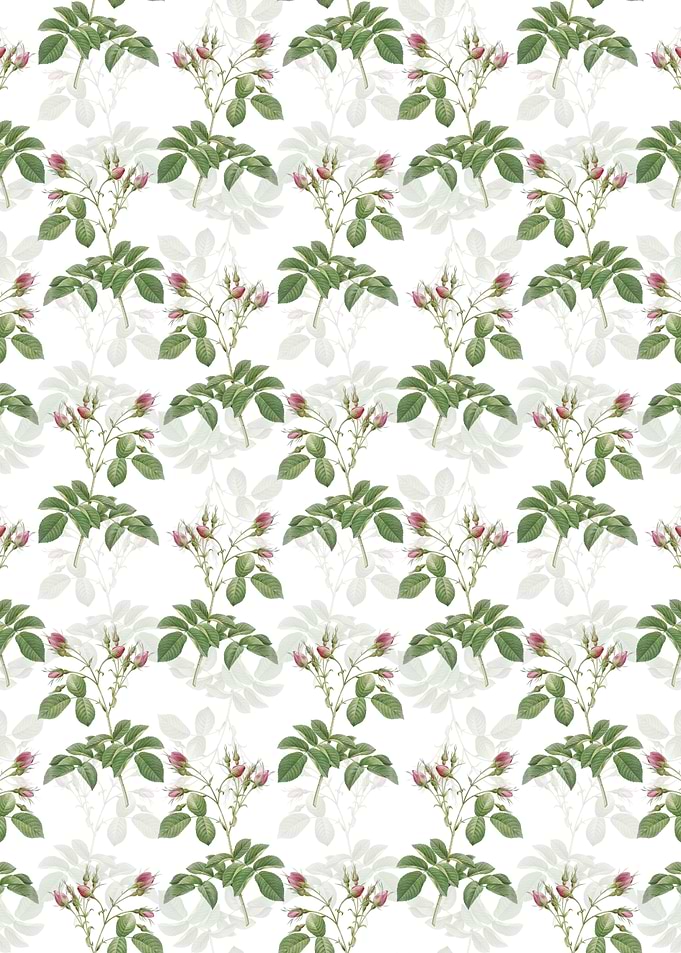 Floral Evrats Rose Pattern